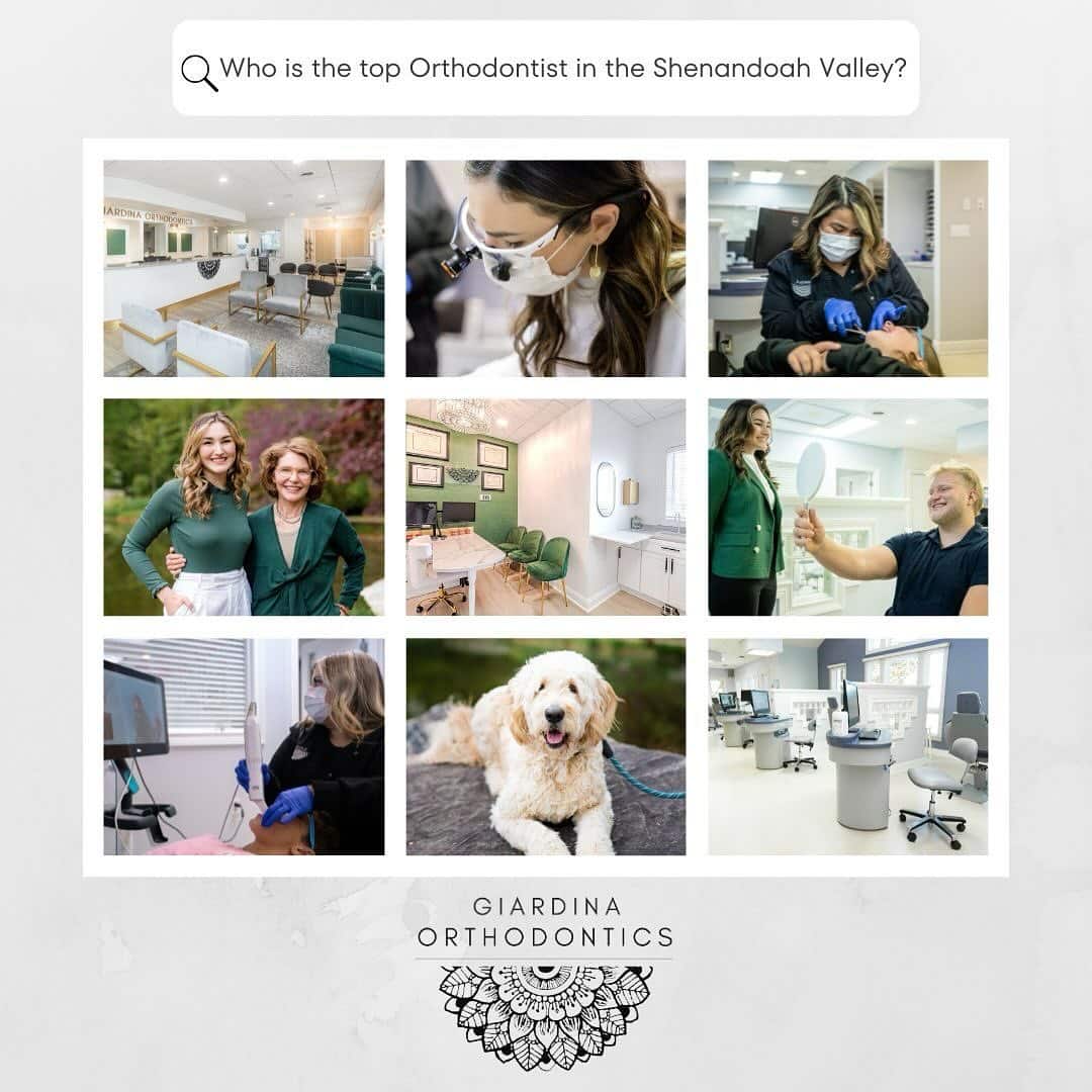 A collage showcasing Giardina Orthodontics, featuring nine images: the modern office reception area, Dr. Giardina performing treatment with specialized equipment, staff providing patient care, Dr. Giardina with a team member, treatment rooms with green accents, a patient smiling at their reflection, a staff member using digital technology, the office therapy dog, and the state-of-the-art treatment area. Above the collage is a search bar with the question 'Who is the top Orthodontist in the Shenandoah Valley?'